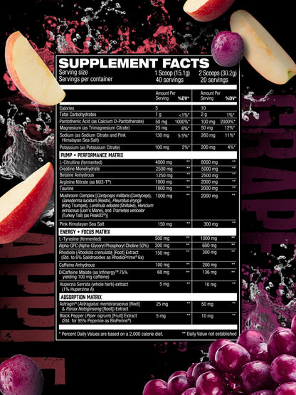 HOSSTILE HOSSTILITY V2 ALL-IN-ONE PRE-WORKOUT