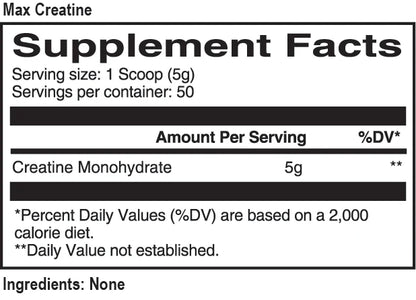 MAX MUSCLE MAX CREATINE