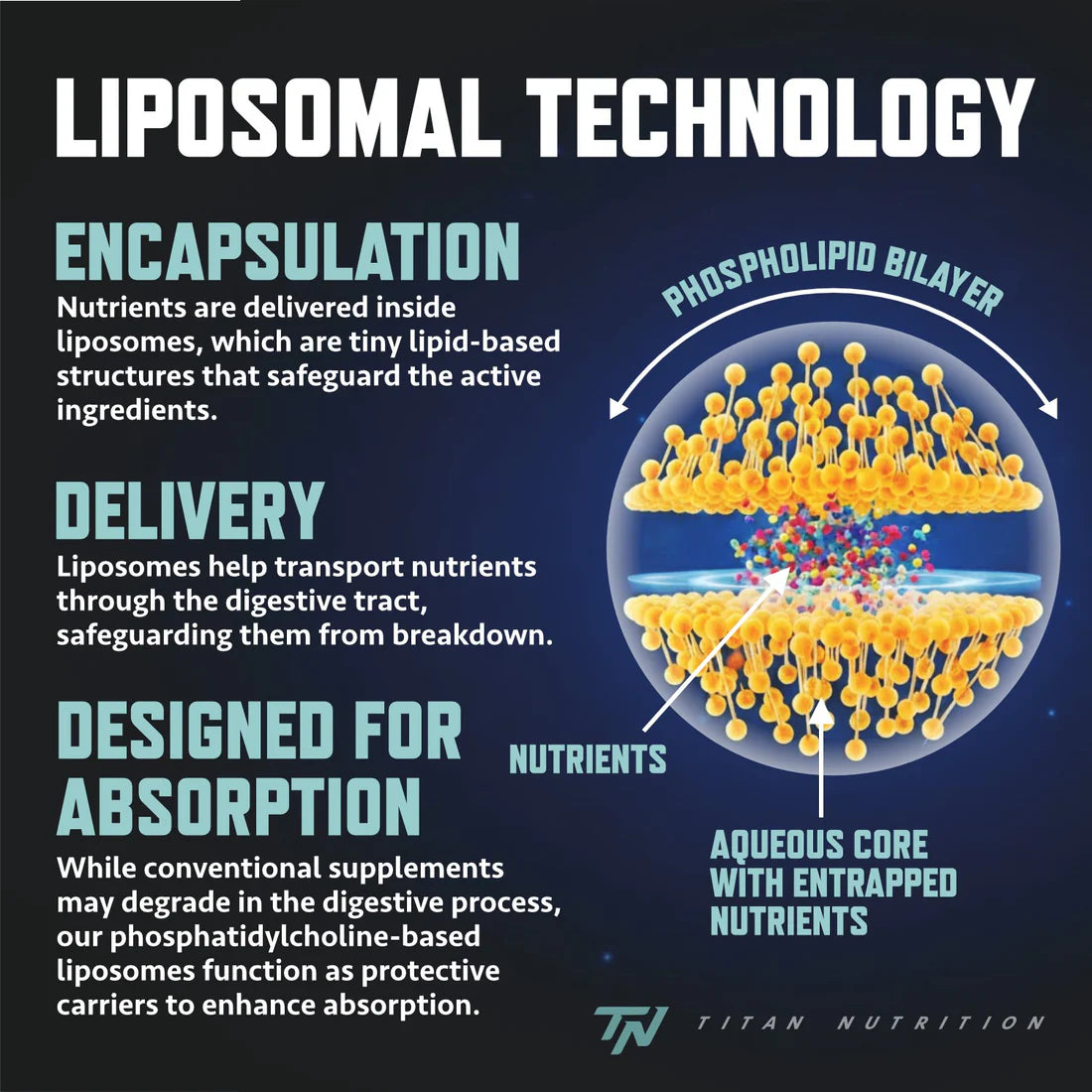 TITAN NUTRITION LIPOSOMAL NAD+
